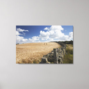 Ein Stacheldrahtzaun, der entlang eines Steinzauns Leinwanddruck