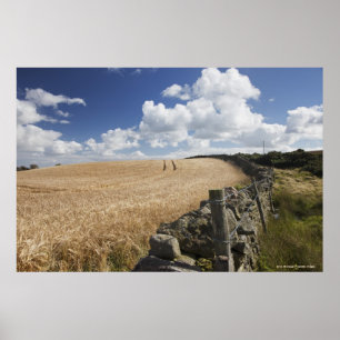 Ein Stacheldrahtzaun, der entlang eines Steinzauns Poster