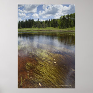 Ein Standteich, der die Wolken reflektiert Poster
