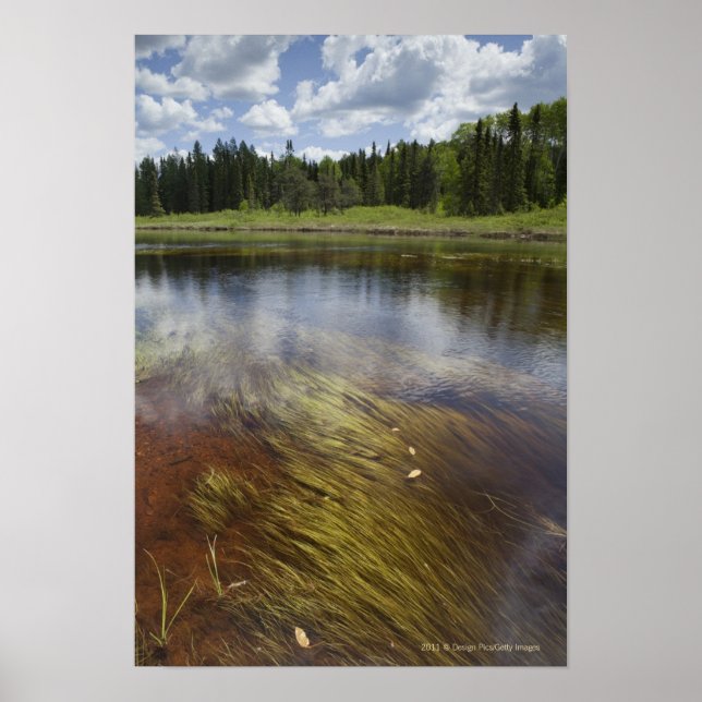 Ein Standteich, der die Wolken reflektiert Poster (Vorne)