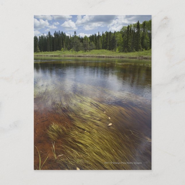 Ein Standteich, der die Wolken reflektiert Postkarte (Vorderseite)