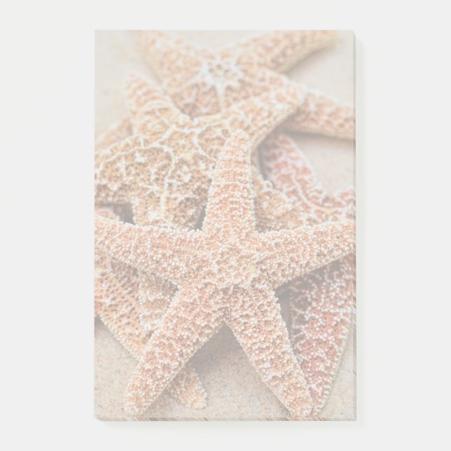 Ein Stapel der großen ZuckerStarfish Post-it Klebezettel (Vorderseite)