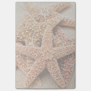 Ein Stapel der großen ZuckerStarfish Post-it Klebezettel
