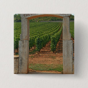 Ein steinernes Portal zum Weinberg Button