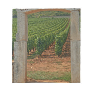 Ein steinernes Portal zum Weinberg Notizblock