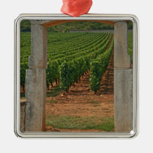 Ein steinernes Portal zum Weinberg Silbernes Ornament