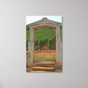 Ein steinernes Portikus zum Weinberg Leinwanddruck