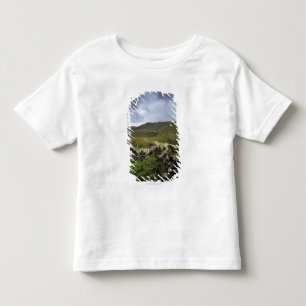 Ein Steinzaun durch Felder Kleinkind T-shirt