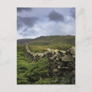 Ein Steinzaun durch Felder Postkarte