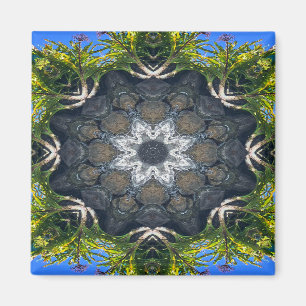 Ein Stern im Teich...... Magnet