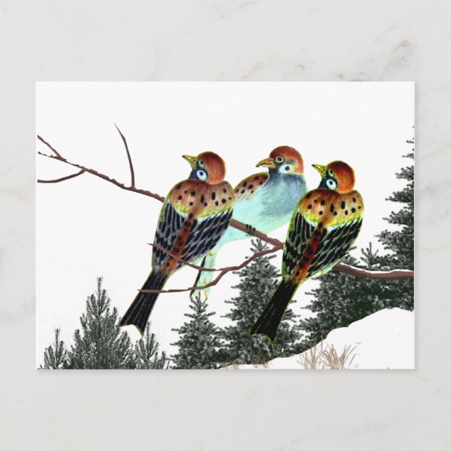 Ein Stern ist Geboren Postkarte (Vorderseite)