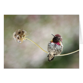 Ein Stern war geboren