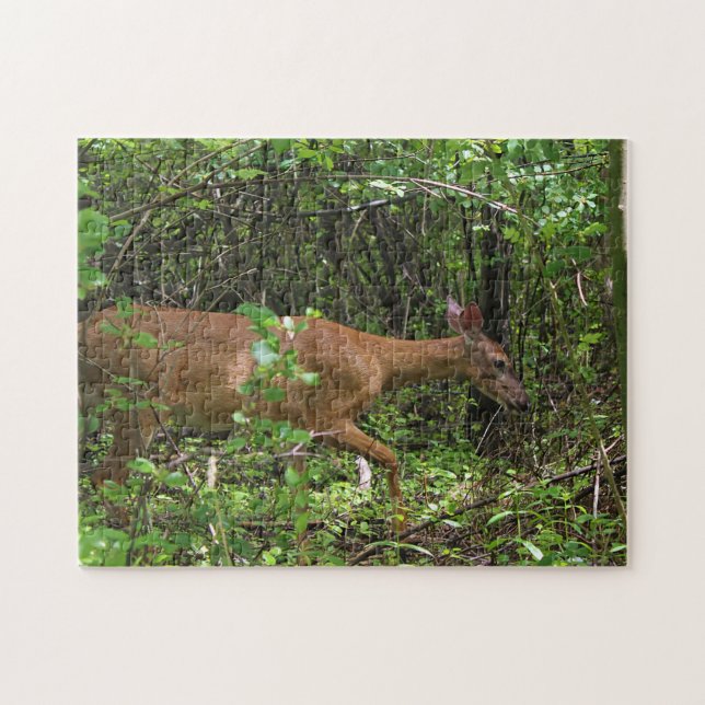 Ein Stroll durch das Holz Puzzle (Horizontal)