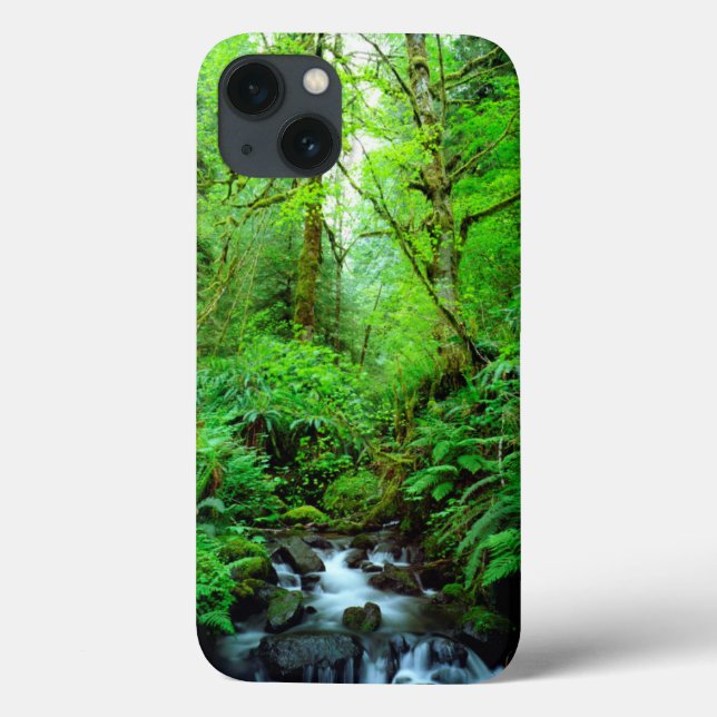 Ein Strom in einem alten Wald Case-Mate iPhone Hülle (Rückseite)