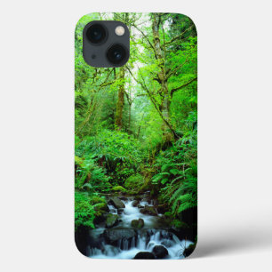 Ein Strom in einem alten Wald Case-Mate iPhone Hülle