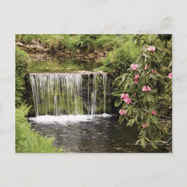 Ein Strom und ein Wasserfall im Dartmoor-Nationalp Postkarte (Vorderseite)