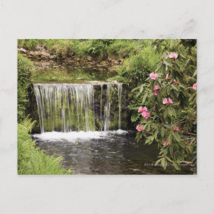 Ein Strom und ein Wasserfall im Dartmoor-Nationalp Postkarte