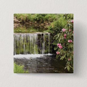 Ein Strom und ein Wasserfall in Dartmoor Button