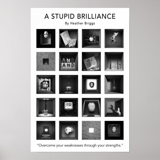 Ein Stupid Brilliance Poster 13x19 (Vorne)