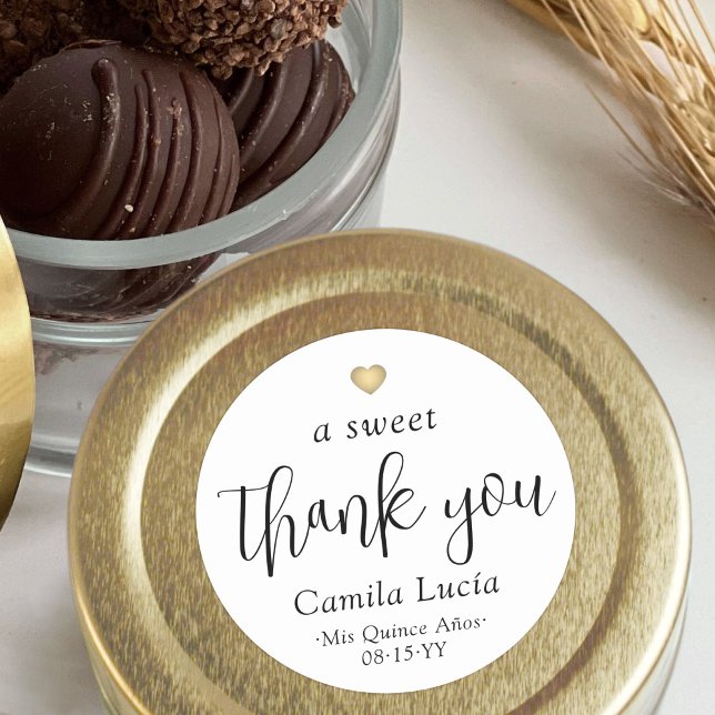Ein Süße Vielen Dank Quinceañera Moderne 15. Gebur Runder Aufkleber (Von Creator hochgeladen)