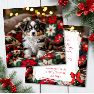 Ein süßer festlicher Papillon Weihnachten personal