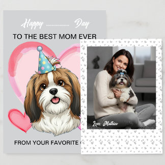 Ein süßer Shih Tzu zu einem besonderen Anlass für Feiertagskarte