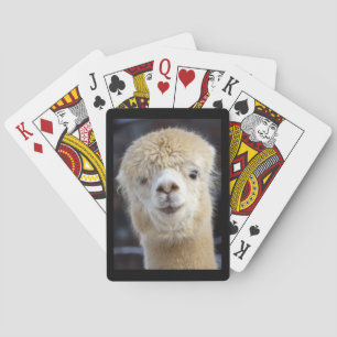 Ein süßes, flauschiges Gesicht eines Alpakas Spielkarten
