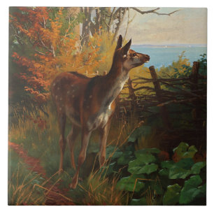 Ein süßes Reh im Wald Fliese