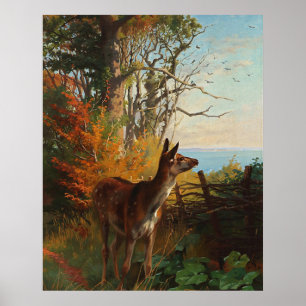 Ein süßes Reh im Wald Poster