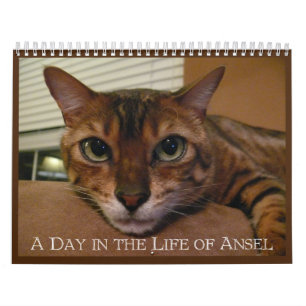 Ein Tag im Leben der Ansel - 21 Monate Kalender