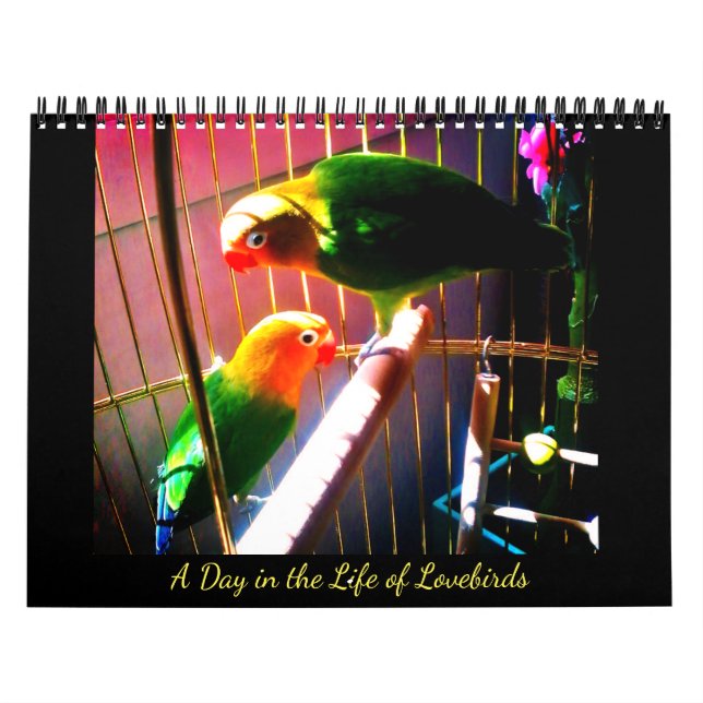 Ein Tag im Leben der Liebe Kalender (Titelbild)