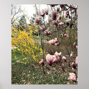 Ein Tag im Park Poster