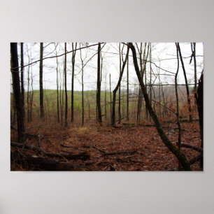 Ein Tag im Wald Poster