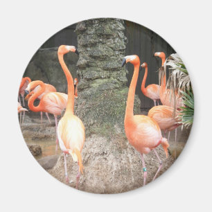 Ein Tag im Zoo Magnet