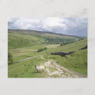 Ein Tag in der Sammlung Yorkshire Dales Postkarte