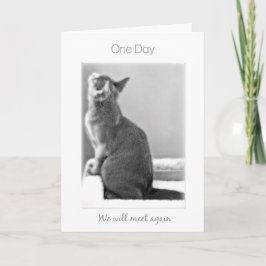 "Ein Tag treffen wir wieder" Katzen-Beileid Karte
