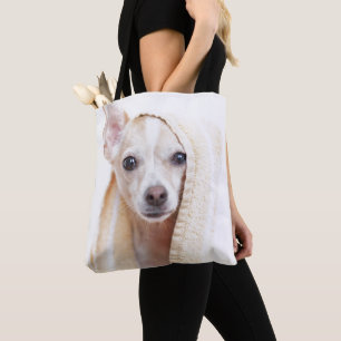 Ein TAN und weißen Chihuahua sitzen unter einem