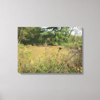 Ein Teich in der Holzfotografie der Wall Art