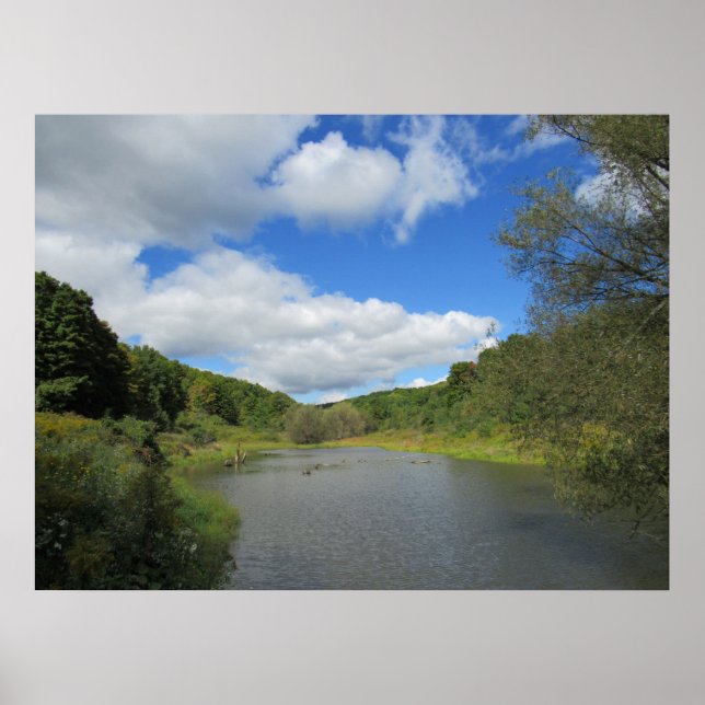 Ein Teich Poster (Vorne)