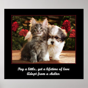 Ein Tier adoptiert Poster