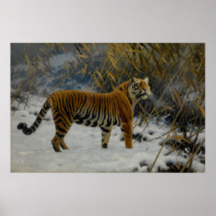 Ein Tiger, der im Schnee von Hugo Ungewitter prowl Poster