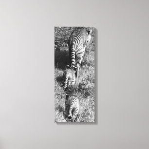 Ein Tiger mit ihren zwei Jungs im Whipsnade Zoo. Leinwanddruck