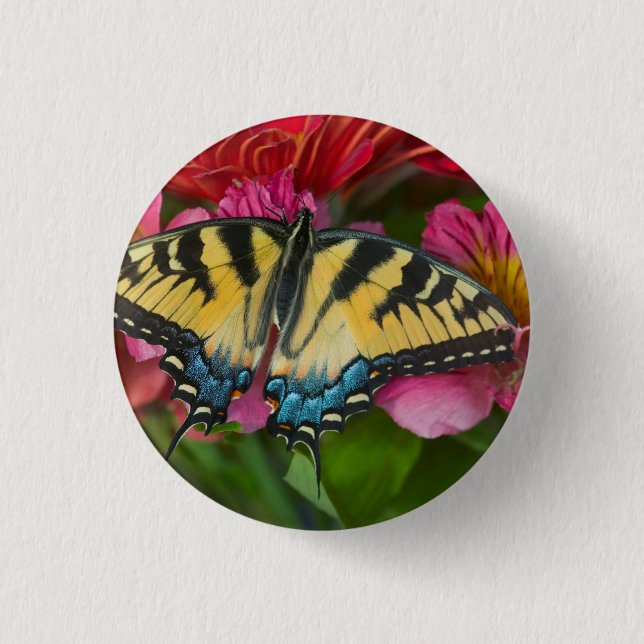 Ein Tiger Swallowtail Schmetterling Button (Vorderseite)