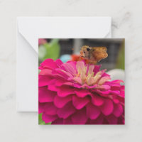 Ein Tipp für Z "Fly Away" Mini-Notizen