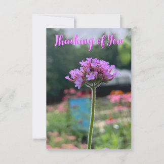 Ein Tipp von Z "Denken Sie an Sie"-Karte Dankeskarte