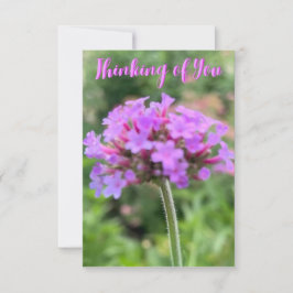 Ein Tipp von Z "Denken Sie an Sie" nahe Karte