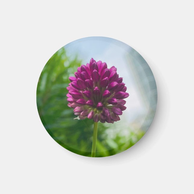 Ein Tipp zum Z "Dunkelrosa Blütenmagneten" Magnet (Vorne)