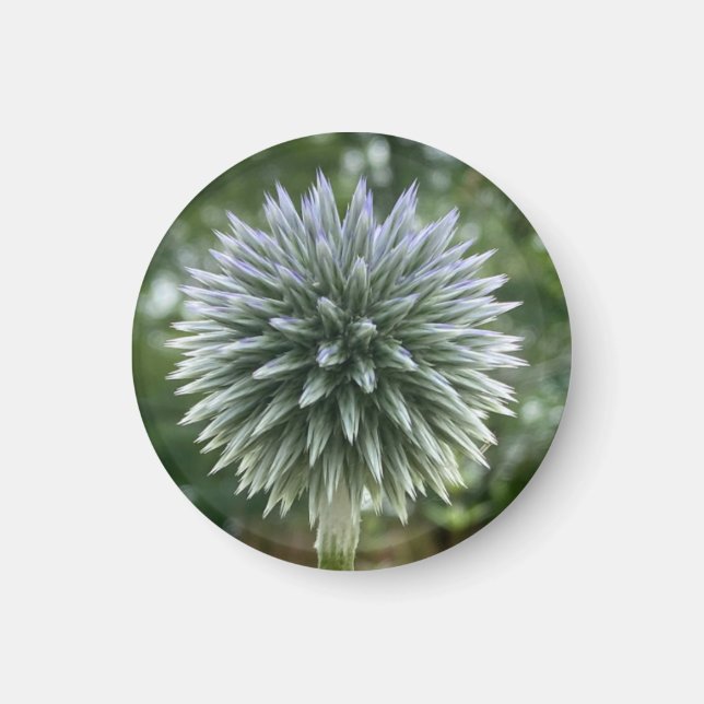 Ein Tipp zum Z "Green Fireworks Floral"-Magneten Magnet (Vorne)