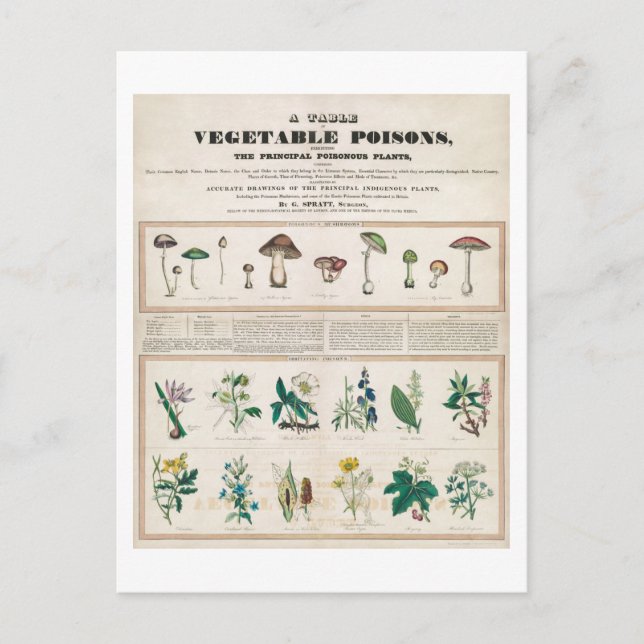 Ein Tisch für Gemüsepoisons Vintage Poster Postkarte (Vorderseite)