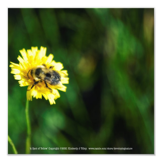 Ein Topf Gelb Fotodruck (Vorne)